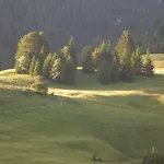 Alpenhof 