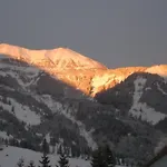 בית הארחה Alpenhof 