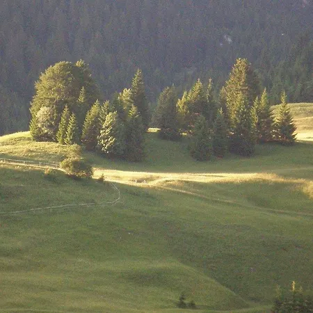 Alpenhof 