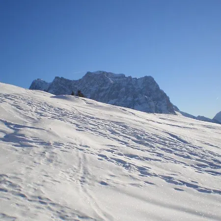 Alpenhof 
